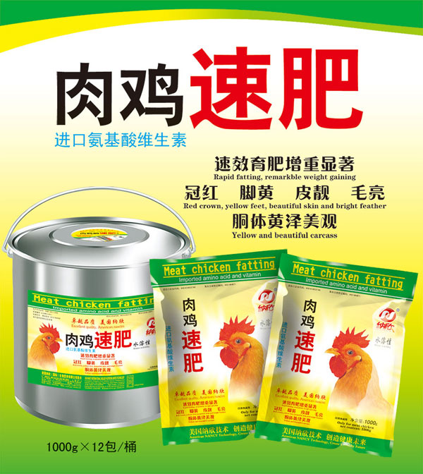 肉雞速肥